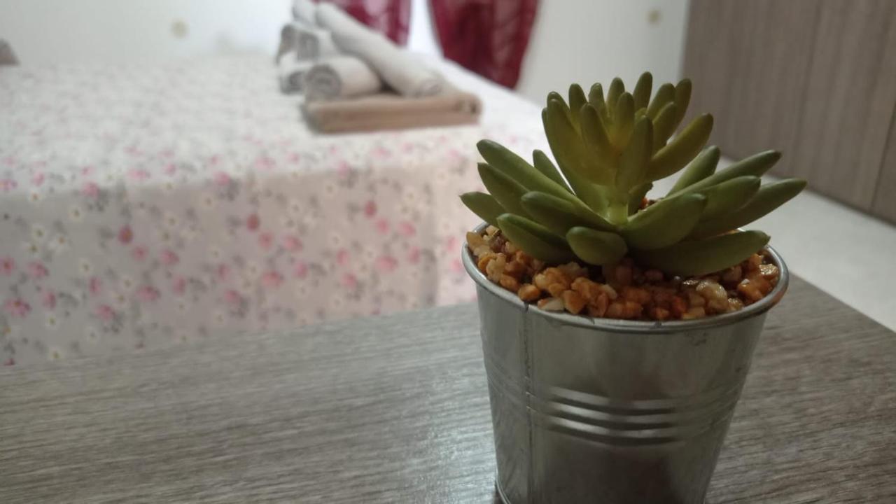 벨베데레 Casa Dalila 아파트 외부 사진
