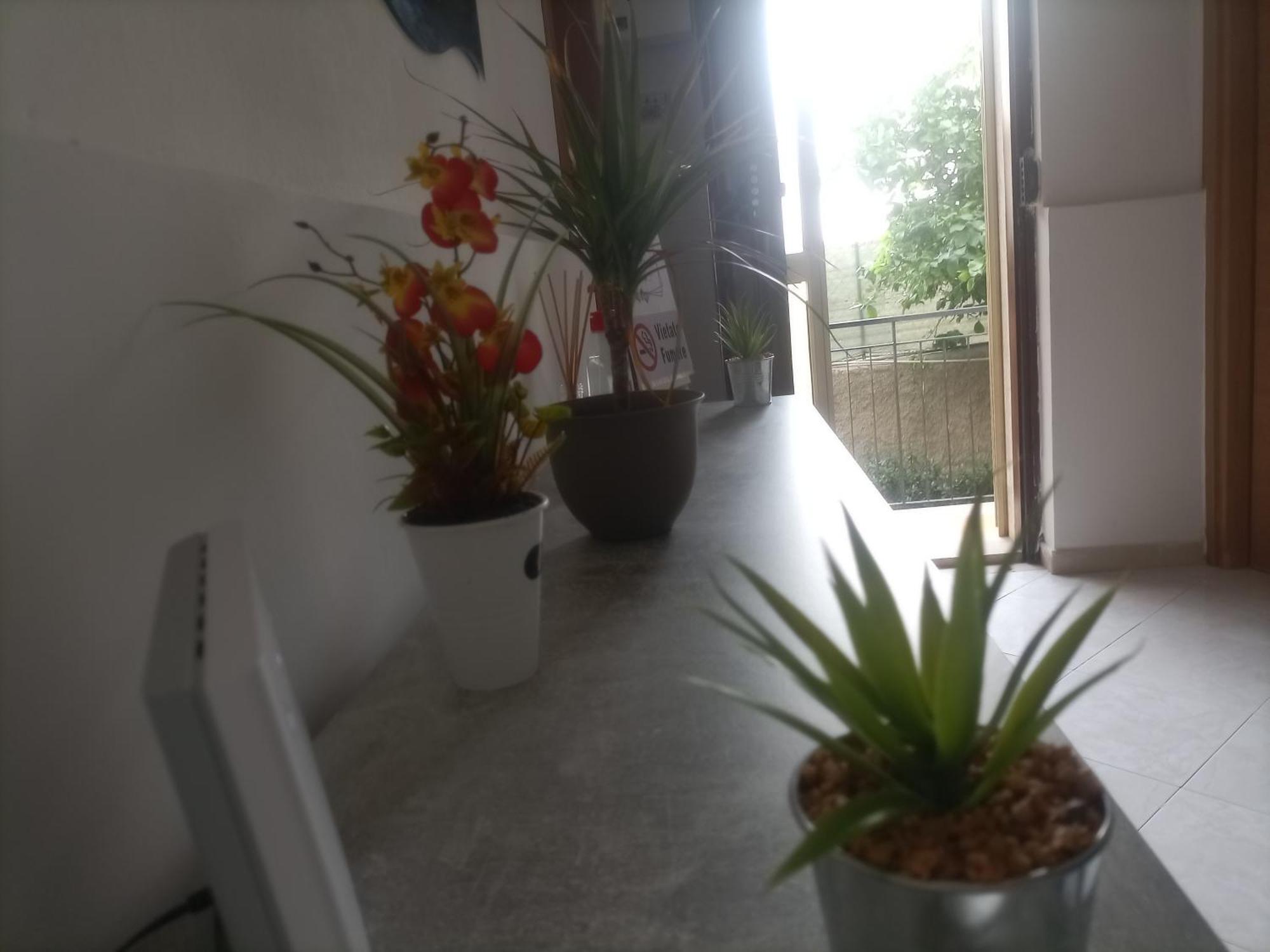 벨베데레 Casa Dalila 아파트 외부 사진