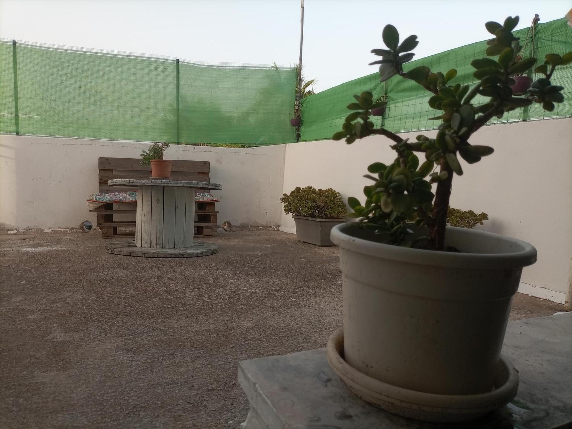 벨베데레 Casa Dalila 아파트 외부 사진