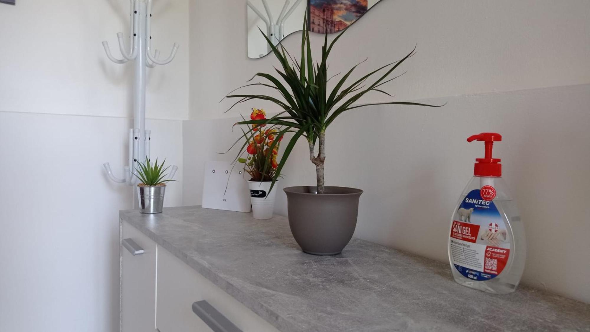 벨베데레 Casa Dalila 아파트 외부 사진