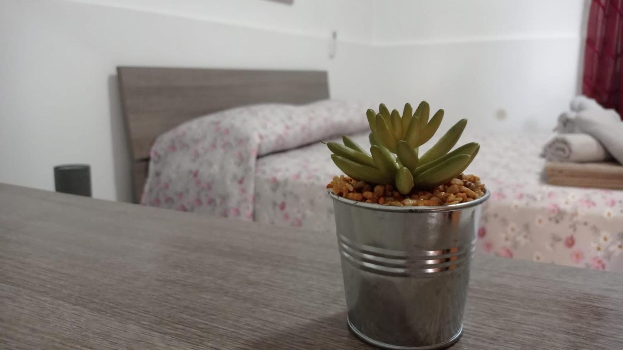 벨베데레 Casa Dalila 아파트 외부 사진